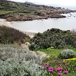 Cenni سانتا تيريزا غالّورا